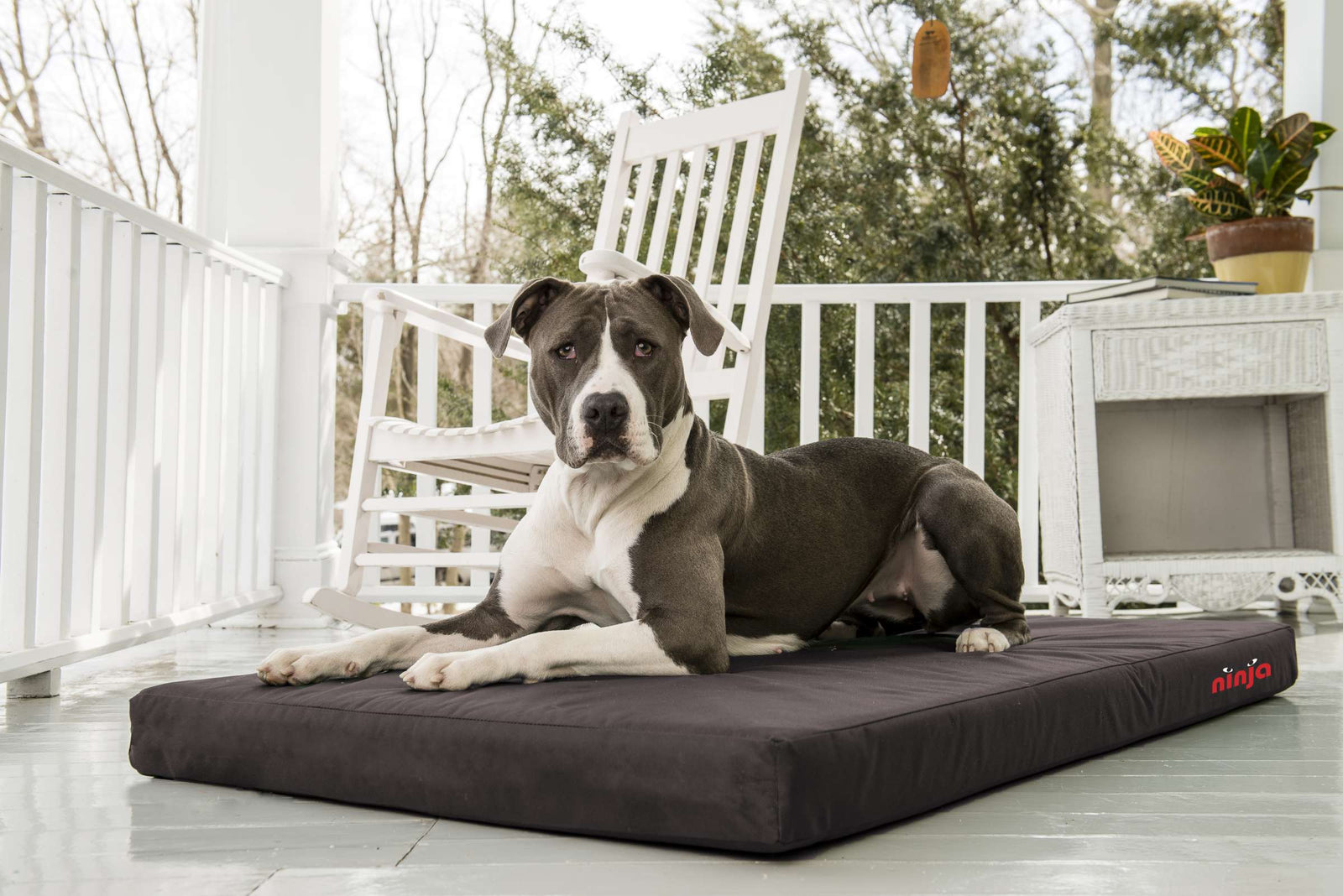 Ninja Chew Proof Bed