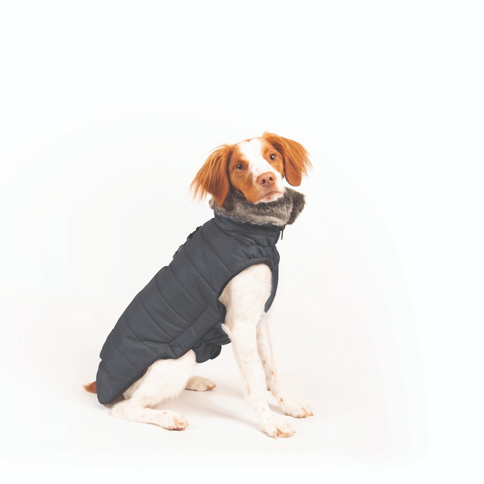 dgs outerwear, dog gone smart, repelz-it jackets, dog jackets, DGS Tamarack Jacket, black