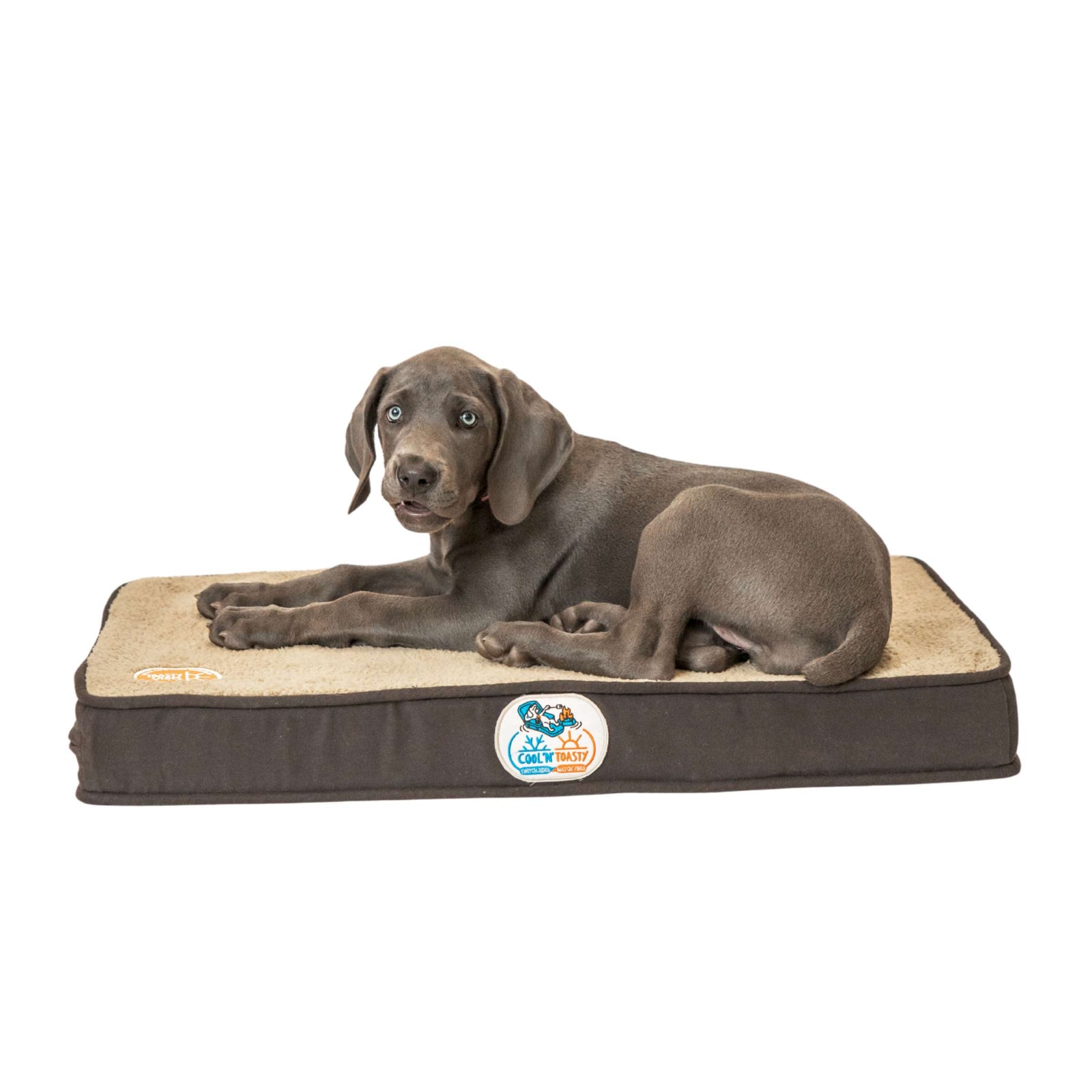 Cool N' Toasty Heating & Cooling Crate Pad