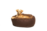 Dirty Dog Donut Bed