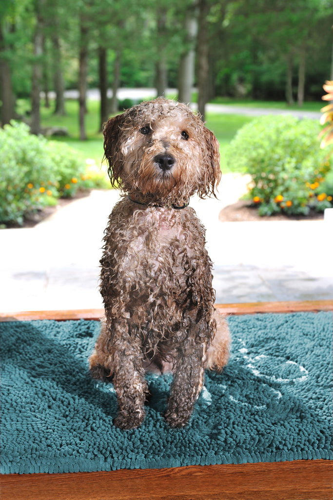 Dog Gone Smart Dirty Dog Microfiber Paw Doormat - Muddy Mats For Dogs -  Super Absorbent Dog Mat