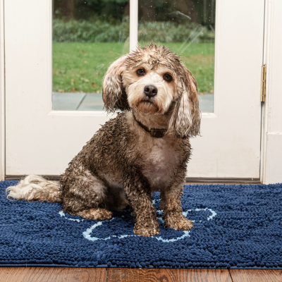 Dirty Dog Doormat and More Gift Ideas