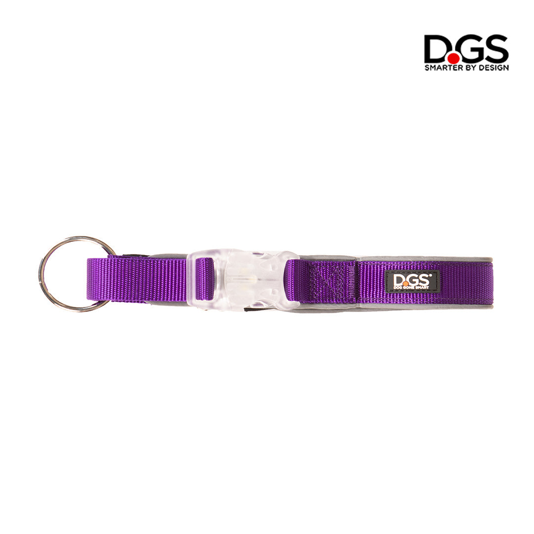 LED collar, LED dog collar, light up collar, visibility collar, dog collar, meteor collar