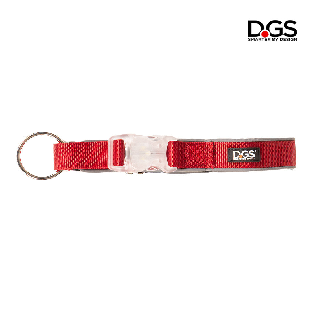 LED collar, LED dog collar, light up collar, visibility collar, dog collar, meteor collar