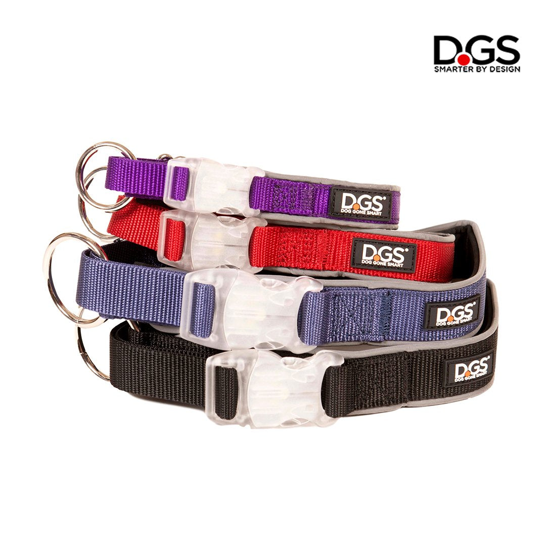 LED collar, LED dog collar, light up collar, visibility collar, dog collar, meteor collar