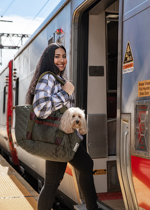 Chill Kuzzi Pet Pouch