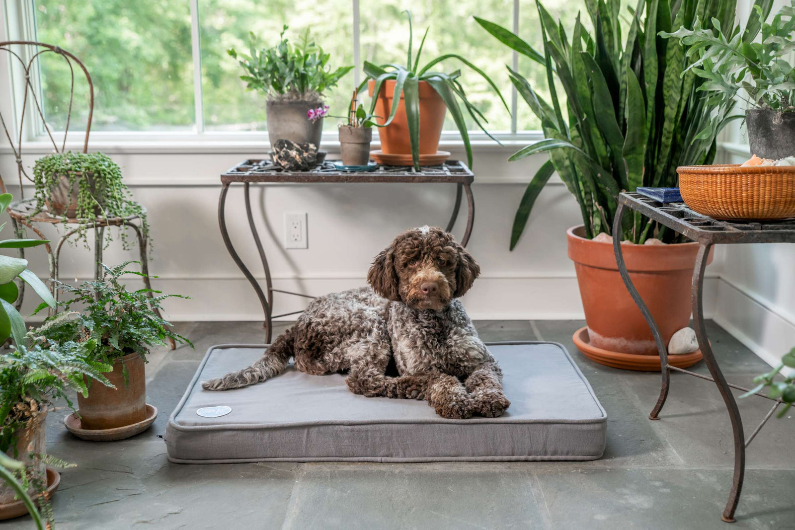 Cool N' Toasty Heating & Cooling Crate Pad