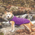 dgs outerwear, dog gone smart, repelz-it jackets, dog jackets, DGS Tamarack Jacket, indigo