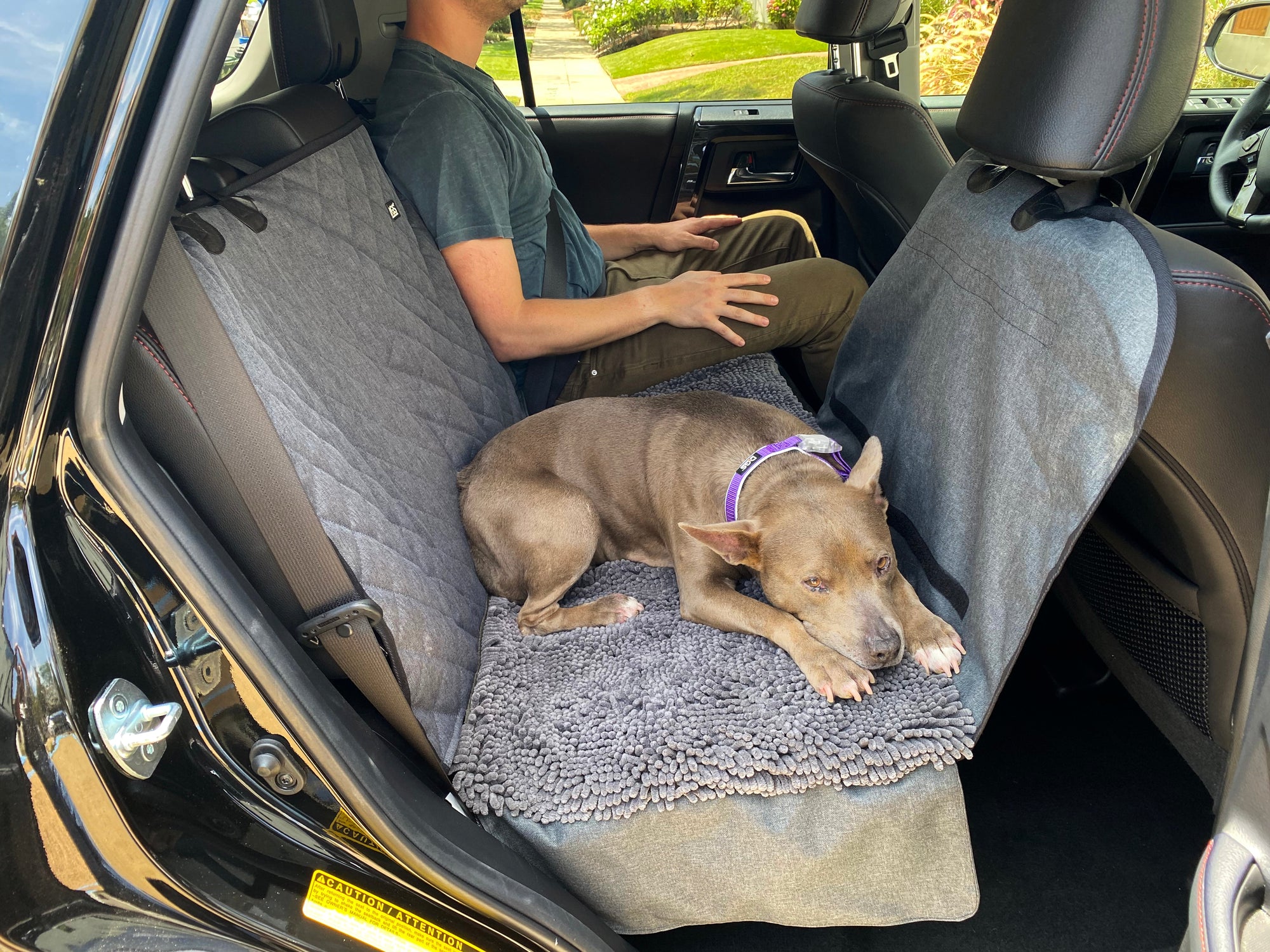 Dirty Dog 3-in-1 Car Seat Cover and Hammock