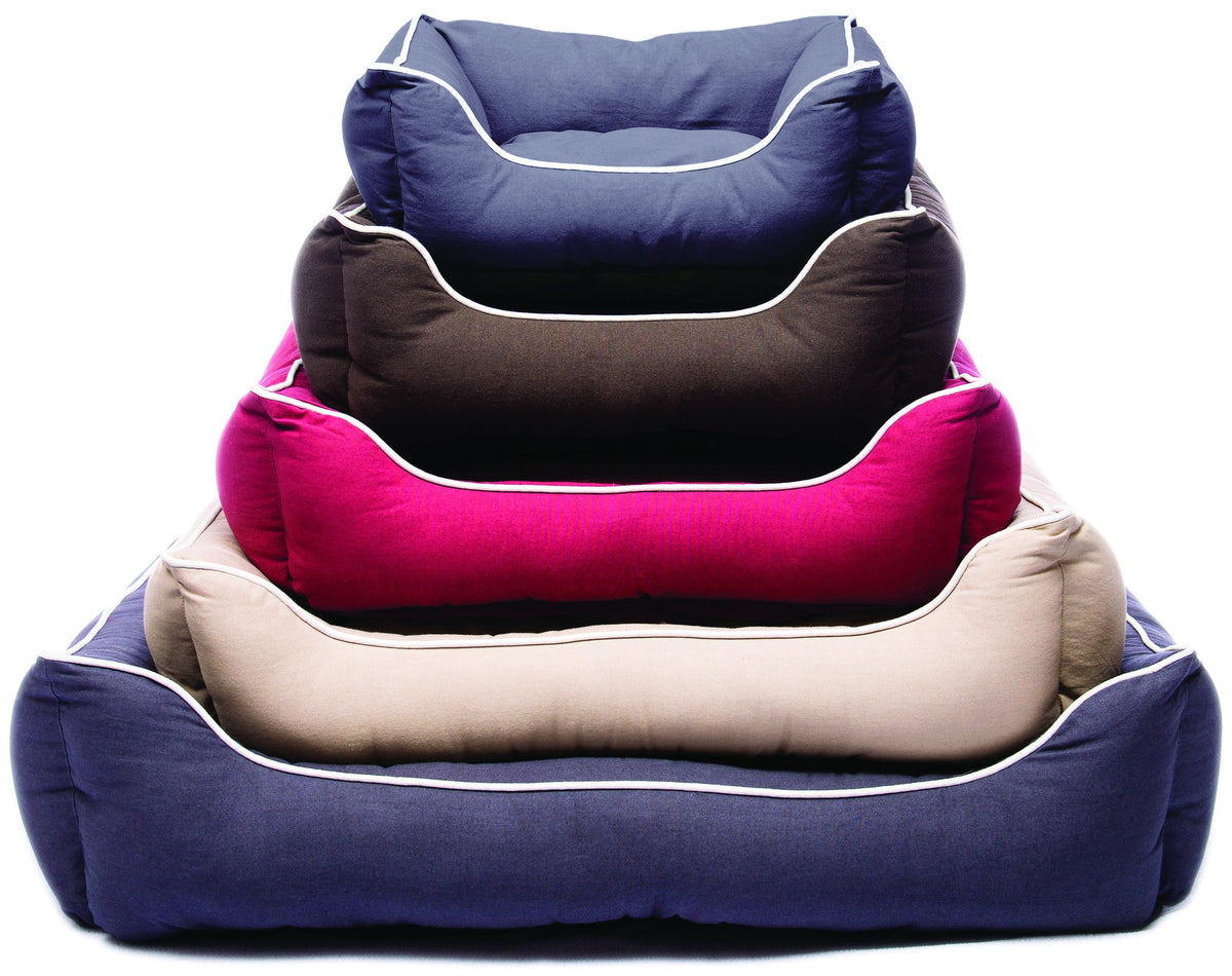 Cotton Canvas Lounger Bed