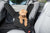 Dirty Dog Single Car Seat Cover and Hammock