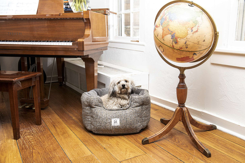 Chill Kuzzi Round Bed - DGS Pet Products