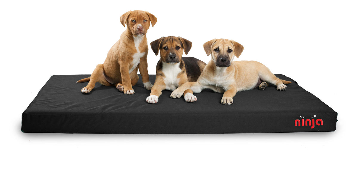 Ninja Chew Proof Bed