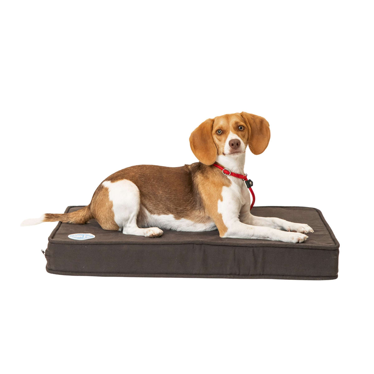 Cool N' Toasty Heating &amp; Cooling Crate Pad
