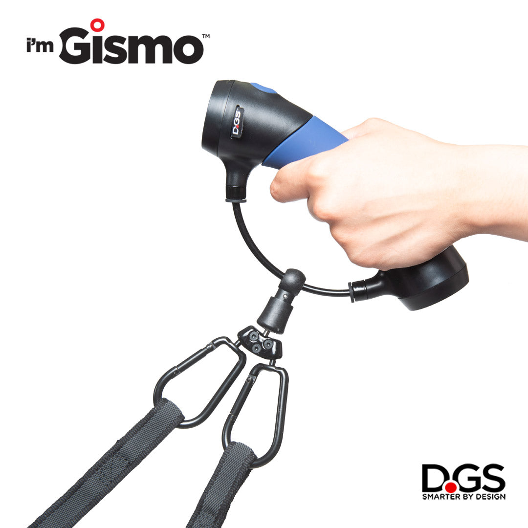 Gismo dog leash hotsell