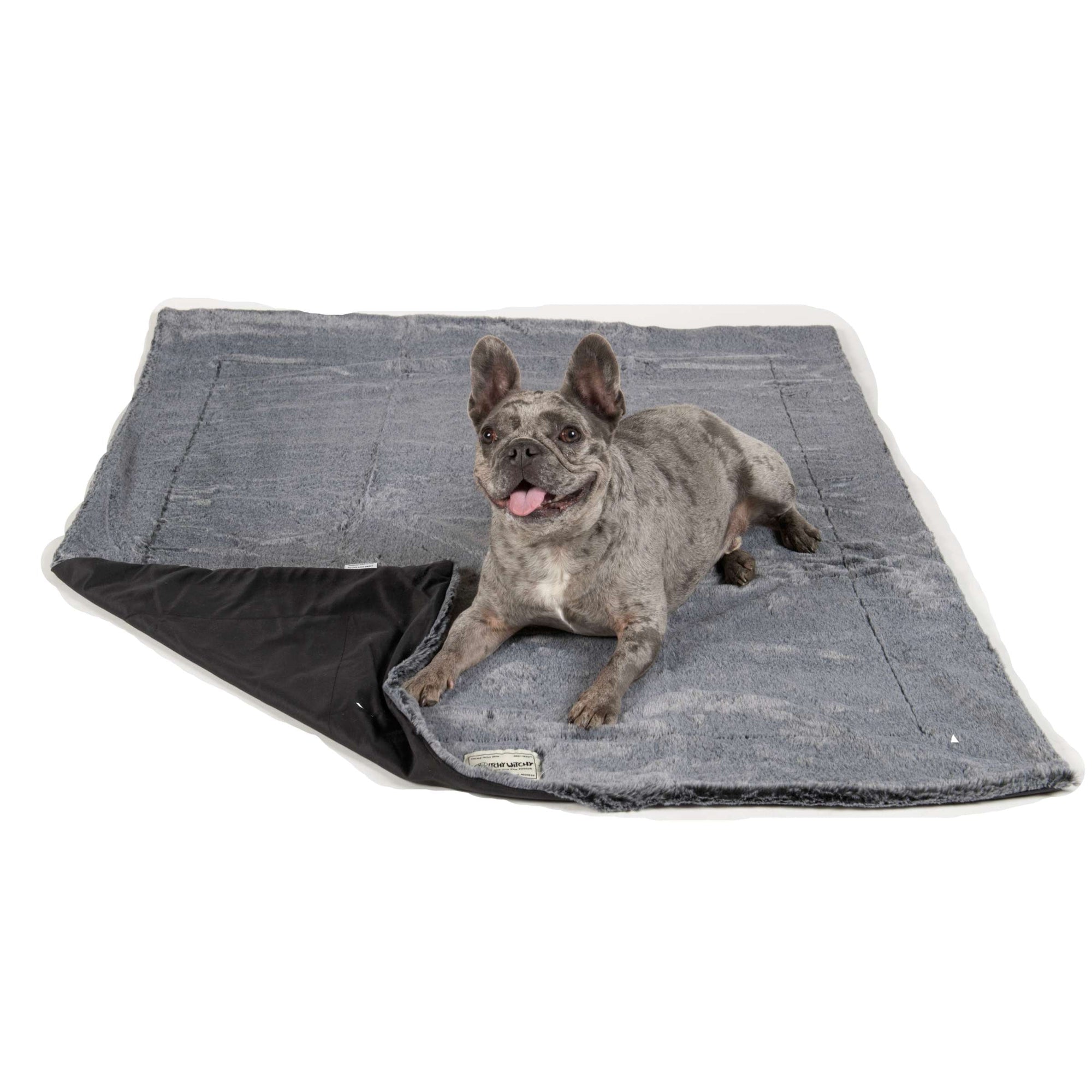 Itchy Witchy Blanket DGS Pet Products