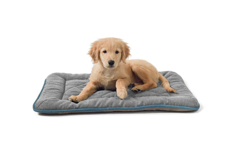 Chenille Sleeper Cushion – DGS Pet Products